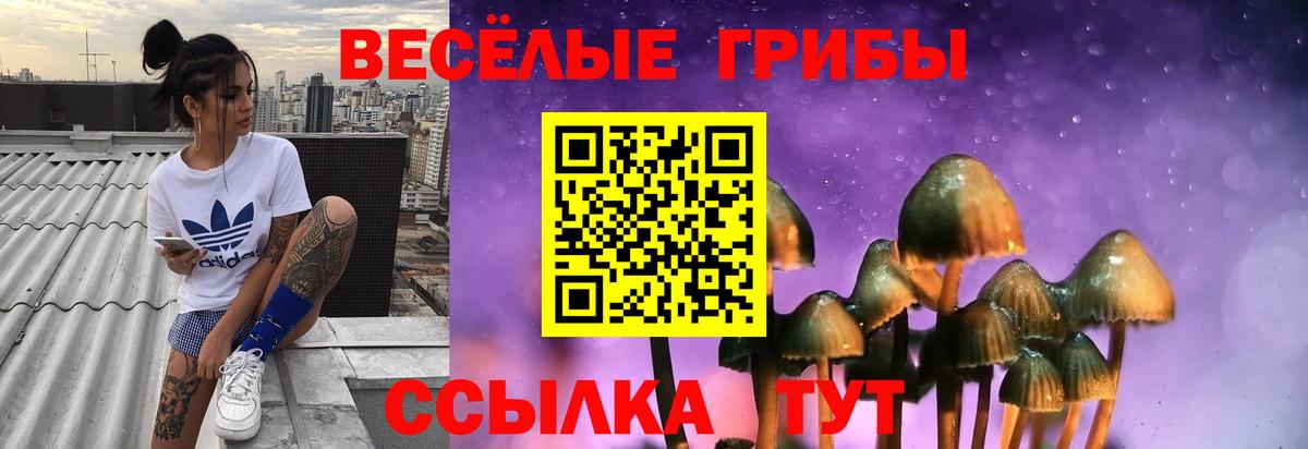 Псилоцибиновые грибы прущие грибы  Вход с VPN  Псилоцибиновые грибы прущие грибы  Старая Купавна 